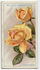 Cissie Easlea rose photo