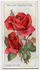 Covent Garden rose photo