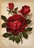 Gloire de Margottin rose photo