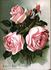 Ferdinand Jamin rose photo