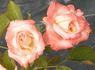 Becca Godman rose photo