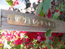 RSM I2  rose photo