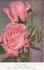 Charmer rose photo