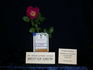 Paul Wright, Jr rose photo