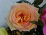 Ambiance rose photo