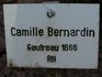 Camille Bernardin rose photo
