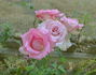 Pavarotti rose photo