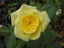 Dakota Sun rose photo