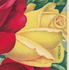 Virginia (tea, Dingee rose photo
