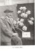 Lord Rossmore rose photo
