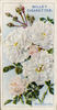 White Dorothy rose photo