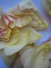 Dr. Félix Guyon rose photo