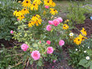 Gemma rose photo