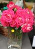 Just Brilliant rose photo
