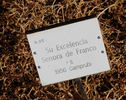 Su Excelencia Señora de Franco rose photo
