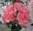 Johnny Becnel rose photo