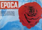 Epoca rose photo