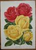 Patrick Anderson rose photo