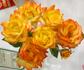 Dee Bennett ™ rose photo
