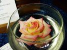 Sister Jane rose photo