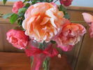 Jean Teresa rose photo