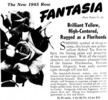 Fantasia rose photo