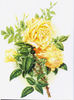 Jean Ducher rose photo
