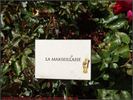 La Marseillaise ® rose photo