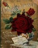 Jubilee rose photo