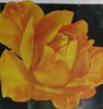 Lumière rose photo