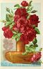 Marion Dingee rose photo