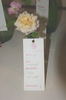 Isabella Gray rose photo