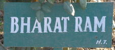 Dr. Bharatram rose photo