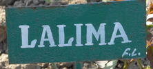 Lalima rose photo