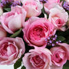 Manuela Schultheis rose photo