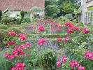Grand-Duc Jean rose photo