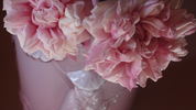 Anna Jung rose photo
