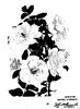Mercurius rose photo