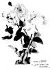 Federation rose photo