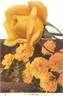 Doubloons rose photo