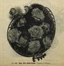 Alice Köpke-Demoy rose photo