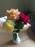 Karl Ploberger Rose rose photo