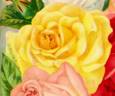 Virginia (tea, Dingee rose photo
