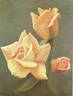 Feu Joseph Looymans rose photo