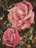 Ville de Saverne rose photo