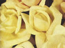 McGredy's Yellow rose photo