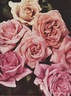 Viscountess Charlemont rose photo