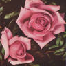 Rose Berkeley rose photo