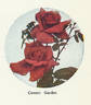 Covent Garden rose photo