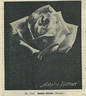 Natalie Böttner rose photo